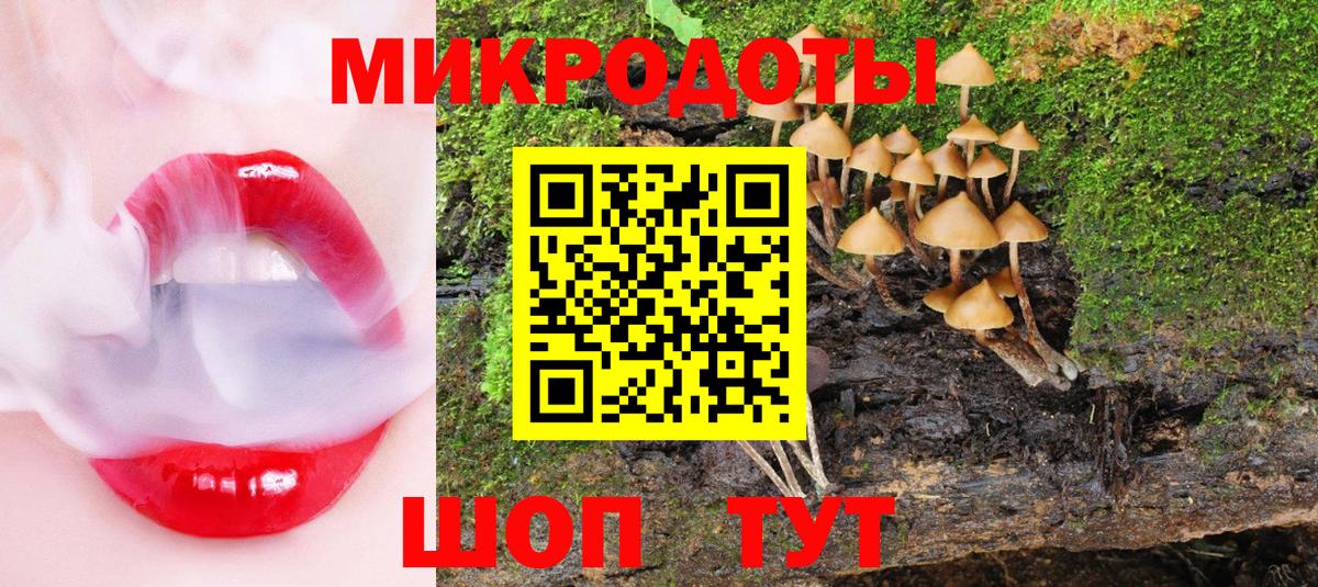 Псилоцибиновые грибы мицелий Коломна