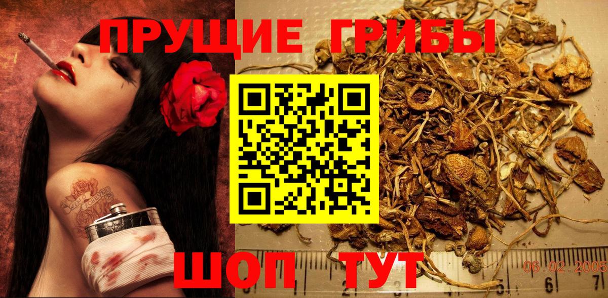 Галлюциногенные грибы Psilocybe  Вход с VPN  Коломна 